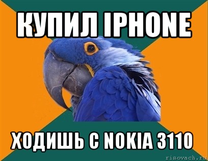 купил iphone ходишь с nokia 3110, Мем Попугай параноик