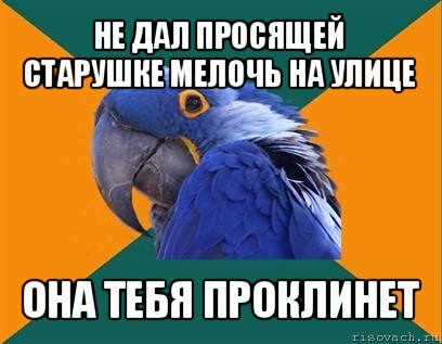 не дал просящей старушке мелочь на улице она тебя проклинет, Мем Попугай параноик