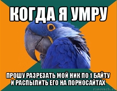 когда я умру прошу разрезать мой ник по 1 байту и распылить его на порносайтах, Мем Попугай параноик