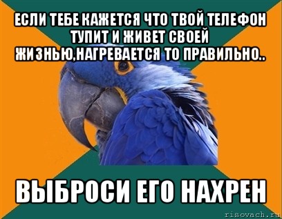 если тебе кажется что твой телефон тупит и живет своей жизнью,нагревается то правильно.. выброси его нахрен, Мем Попугай параноик