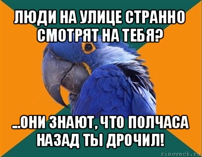 люди на улице странно смотрят на тебя? ...они знают, что полчаса назад ты дрочил!, Мем Попугай параноик