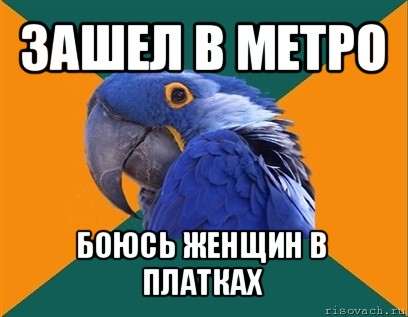 зашел в метро боюсь женщин в платках, Мем Попугай параноик