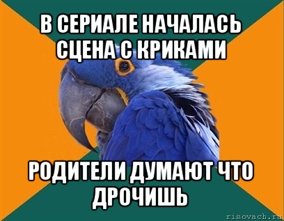 в сериале началась сцена с криками родители думают что дрочишь, Мем Попугай параноик