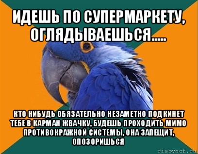 идешь по супермаркету, оглядываешься..... кто нибудь обязательно незаметно подкинет тебе в карман жвачку, будешь проходить мимо противокражной системы, она запещит, опозоришься, Мем Попугай параноик