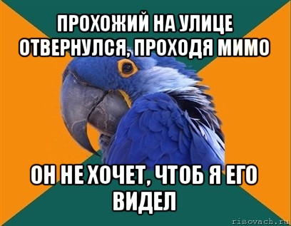 прохожий на улице отвернулся, проходя мимо он не хочет, чтоб я его видел, Мем Попугай параноик