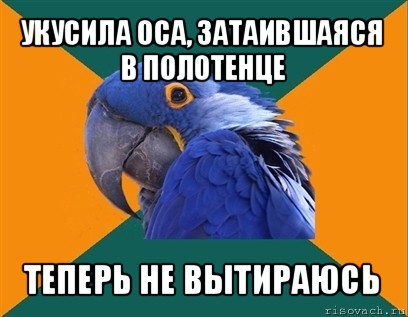 укусила оса, затаившаяся в полотенце теперь не вытираюсь, Мем Попугай параноик