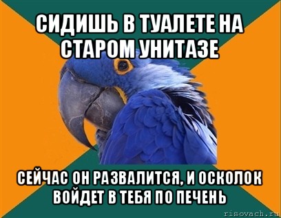 сидишь в туалете на старом унитазе сейчас он развалится, и осколок войдет в тебя по печень, Мем Попугай параноик