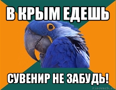 в крым едешь сувенир не забудь!, Мем Попугай параноик