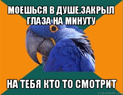 моешься в душе.закрыл глаза на минуту на тебя кто то смотрит, Мем Попугай параноик