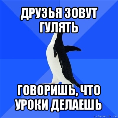 друзья зовут гулять говоришь, что уроки делаешь, Мем  Социально-неуклюжий пингвин