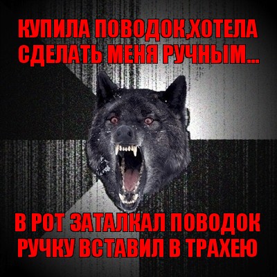 купила поводок,хотела сделать меня ручным... в рот заталкал поводок
ручку вставил в трахею, Мем Сумасшедший волк