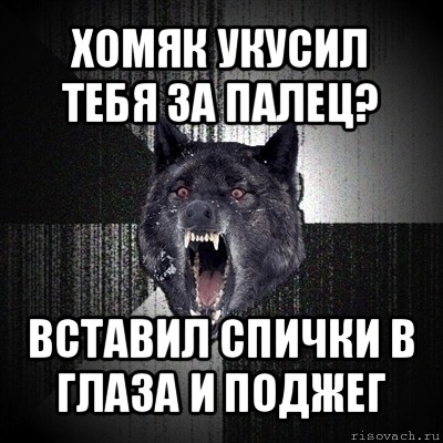 хомяк укусил тебя за палец? вставил спички в глаза и поджег, Мем Сумасшедший волк