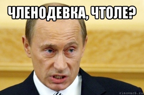 членодевка, чтоле? , Мем путин