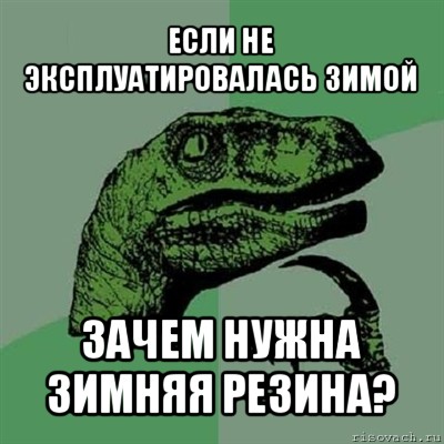 если не эксплуатировалась зимой зачем нужна зимняя резина?, Мем Филосораптор