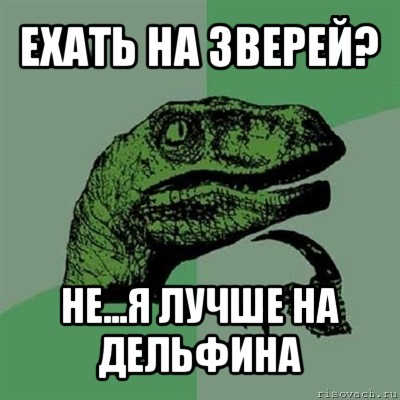 ехать на зверей? не...я лучше на дельфина