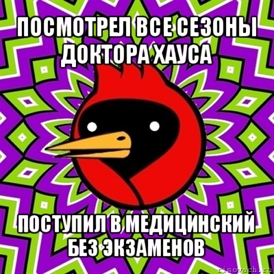 посмотрел все сезоны доктора хауса поступил в медицинский без экзаменов, Мем Омская птица