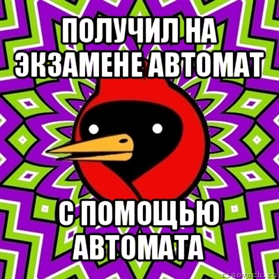 получил на экзамене автомат с помощью автомата, Мем Омская птица