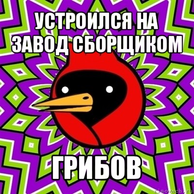 устроился на завод сборщиком грибов, Мем Омская птица