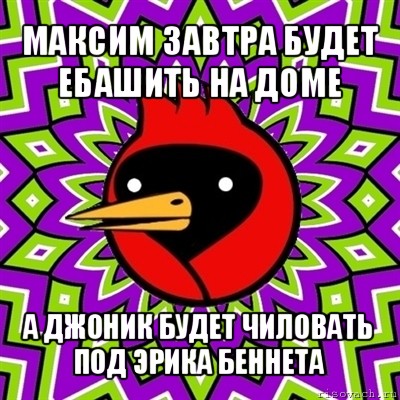 максим завтра будет ебашить на доме а джоник будет чиловать под эрика беннета, Мем Омская птица