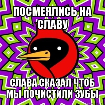 посмеялись на славу слава сказал чтоб мы почистили зубы, Мем Омская птица