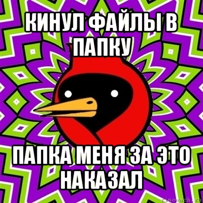 кинул файлы в папку папка меня за это наказал, Мем Омская птица