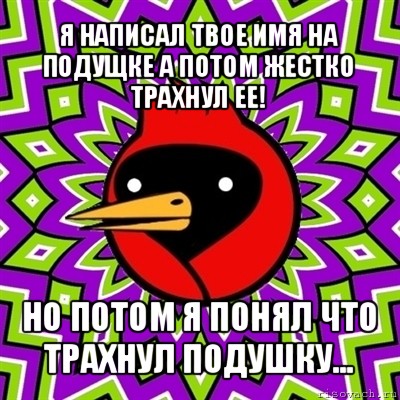 я написал твое имя на подущке а потом жестко трахнул ее! но потом я понял что трахнул подушку..., Мем Омская птица