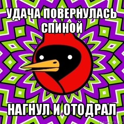 удача повернулась спиной нагнул и отодрал, Мем Омская птица