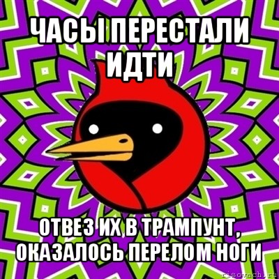 часы перестали идти отвез их в трампунт, оказалось перелом ноги, Мем Омская птица