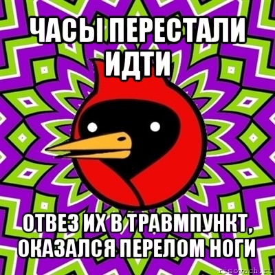 часы перестали идти отвез их в травмпункт, оказался перелом ноги, Мем Омская птица