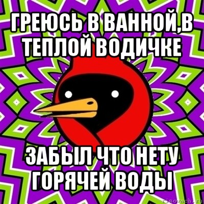 греюсь в ванной,в теплой водичке забыл что нету горячей воды, Мем Омская птица