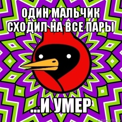 один мальчик сходил на все пары ...и умер, Мем Омская птица