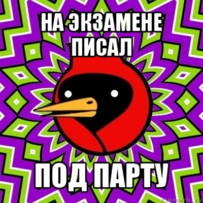 на экзамене писал под парту, Мем Омская птица