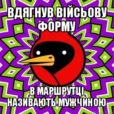 вдягнув війсьову форму в маршрутці називають мужчиною, Мем Омская птица