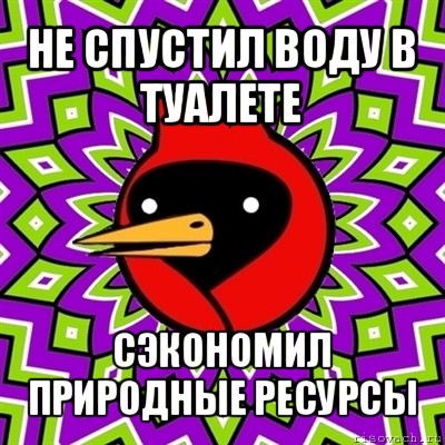 не спустил воду в туалете сэкономил природные ресурсы, Мем Омская птица