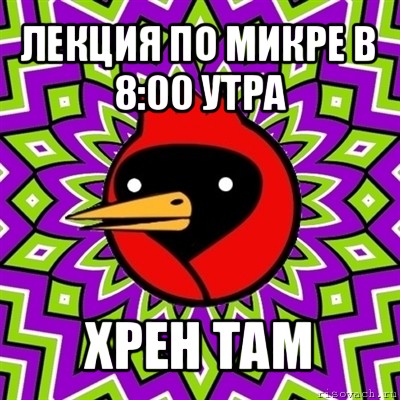 лекция по микре в 8:00 утра хрен там, Мем Омская птица