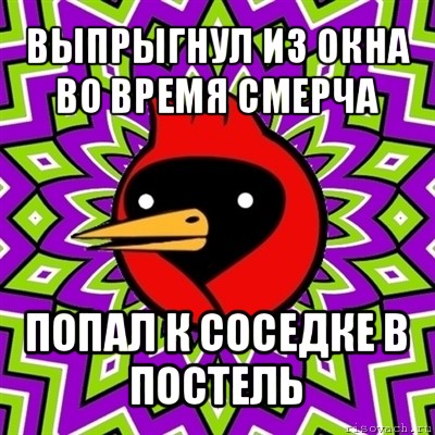 выпрыгнул из окна во время смерча попал к соседке в постель, Мем Омская птица