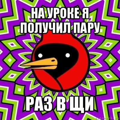 на уроке я получил пару раз в щи, Мем Омская птица