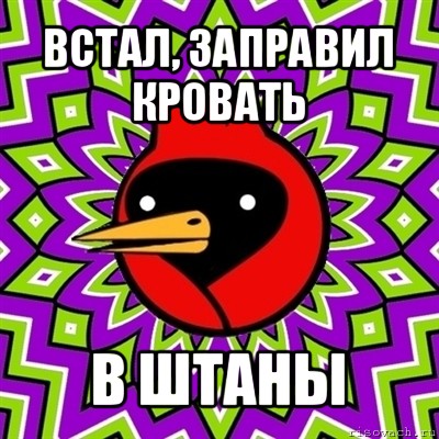 встал, заправил кровать в штаны