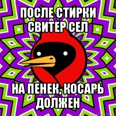 после стирки свитер сел на пенек, косарь должен, Мем Омская птица