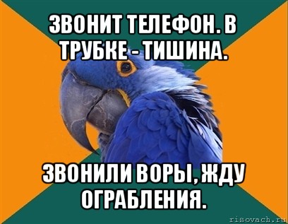 звонит телефон. в трубке - тишина. звонили воры, жду ограбления., Мем Попугай параноик