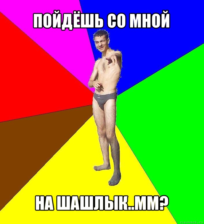 пойдёшь со мной на шашлык..мм?