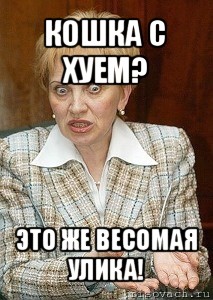 кошка с хуем? это же весомая улика!, Мем Судья Егорова