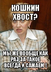 кошкин хвост? мы же вообще как раз за такое всегда и сажаем !