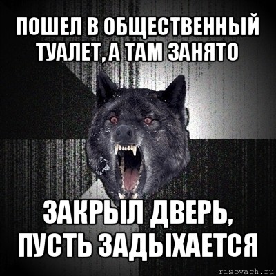 пошел в общественный туалет, а там занято закрыл дверь, пусть задыхается, Мем Сумасшедший волк