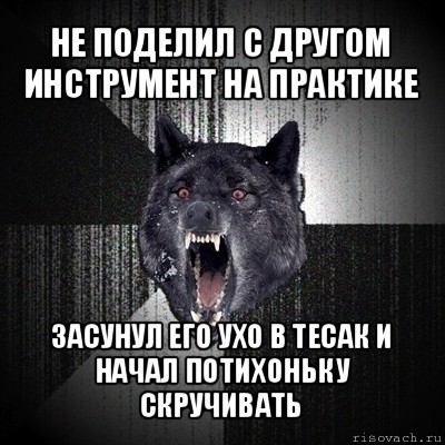 не поделил с другом инструмент на практике засунул его ухо в тесак и начал потихоньку скручивать, Мем Сумасшедший волк