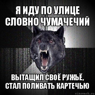 я иду по улице словно чумачечий вытащил своё ружьё, стал поливать картечью, Мем Сумасшедший волк