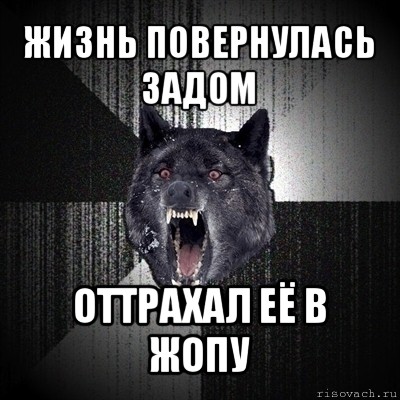 жизнь повернулась задом оттрахал её в жопу, Мем Сумасшедший волк