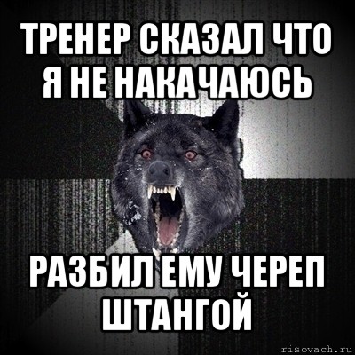 тренер сказал что я не накачаюсь разбил ему череп штангой, Мем Сумасшедший волк