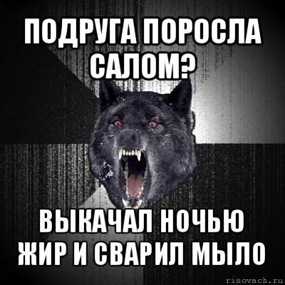 подруга поросла салом? выкачал ночью жир и сварил мыло, Мем Сумасшедший волк