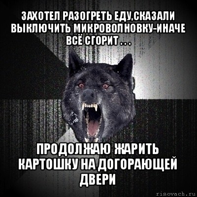 захотел разогреть еду,сказали выключить микроволновку-иначе всё сгорит . . . продолжаю жарить картошку на догорающей двери, Мем Сумасшедший волк